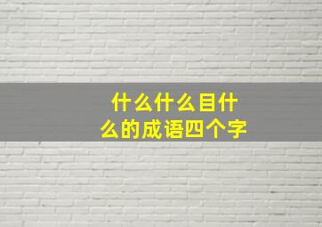 什么什么目什么的成语四个字