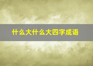 什么大什么大四字成语