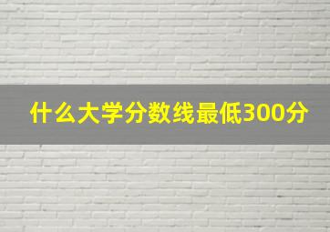 什么大学分数线最低300分