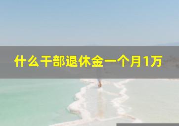 什么干部退休金一个月1万