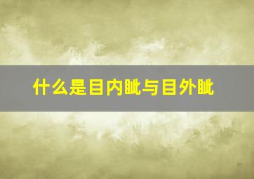 什么是目内眦与目外眦