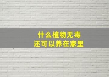 什么植物无毒还可以养在家里