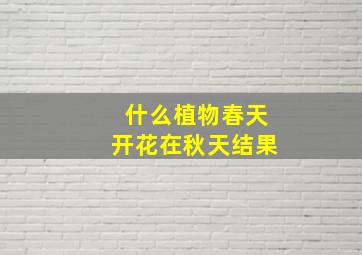 什么植物春天开花在秋天结果