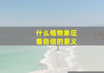 什么植物象征着自信的意义