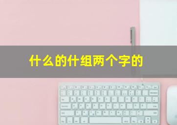 什么的什组两个字的