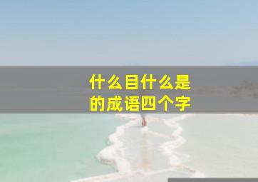 什么目什么是的成语四个字