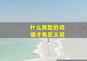 什么类型的词语才有反义词