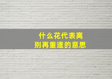 什么花代表离别再重逢的意思