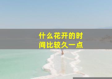 什么花开的时间比较久一点