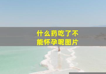 什么药吃了不能怀孕呢图片