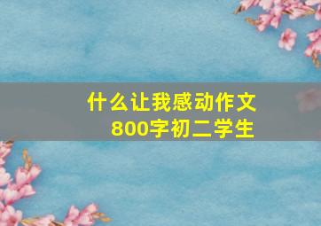 什么让我感动作文800字初二学生