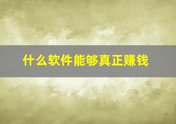 什么软件能够真正赚钱