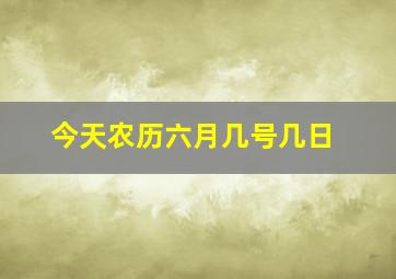 今天农历六月几号几日