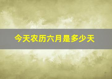 今天农历六月是多少天