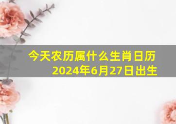 今天农历属什么生肖日历2024年6月27日出生