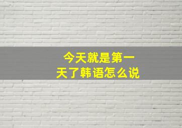 今天就是第一天了韩语怎么说