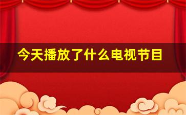 今天播放了什么电视节目