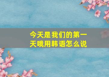 今天是我们的第一天哦用韩语怎么说