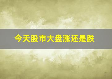 今天股市大盘涨还是跌