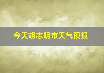 今天胡志明市天气预报