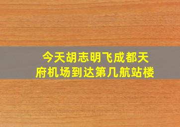 今天胡志明飞成都天府机场到达第几航站楼