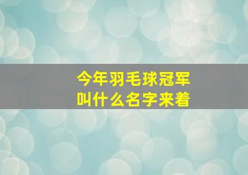 今年羽毛球冠军叫什么名字来着