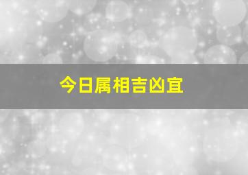 今日属相吉凶宜