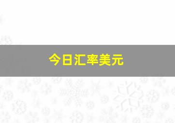 今日汇率美元