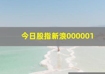 今日股指新浪000001