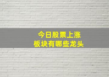 今日股票上涨板块有哪些龙头