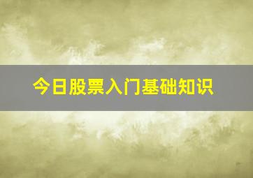 今日股票入门基础知识