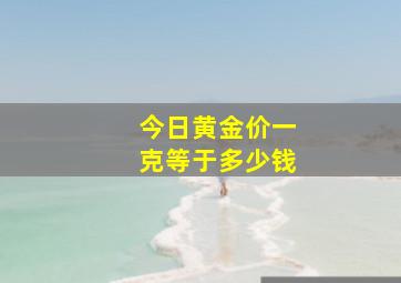 今日黄金价一克等于多少钱