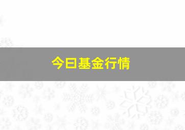 今曰基金行情