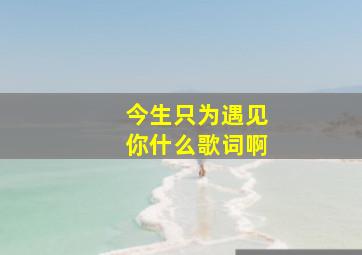 今生只为遇见你什么歌词啊