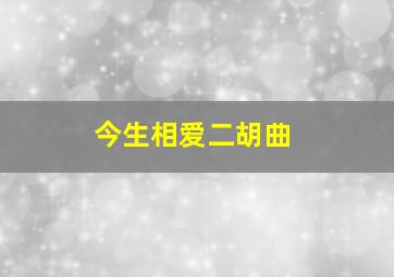 今生相爱二胡曲