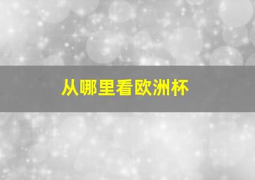 从哪里看欧洲杯