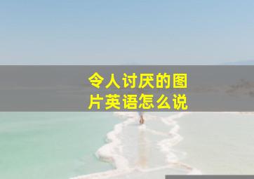 令人讨厌的图片英语怎么说