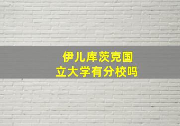 伊儿库茨克国立大学有分校吗