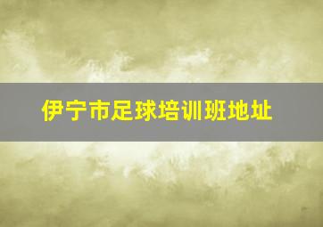 伊宁市足球培训班地址