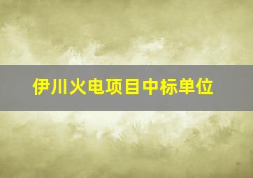 伊川火电项目中标单位