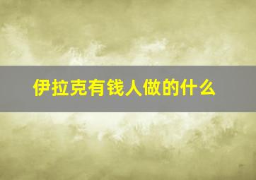 伊拉克有钱人做的什么