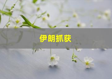 伊朗抓获