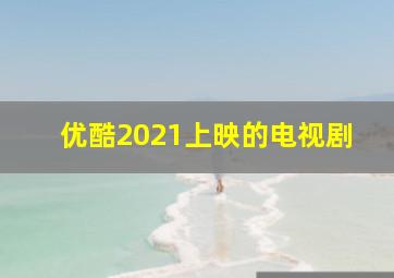 优酷2021上映的电视剧