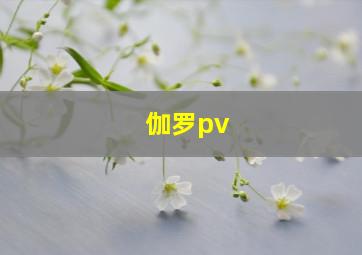 伽罗pv