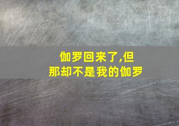 伽罗回来了,但那却不是我的伽罗