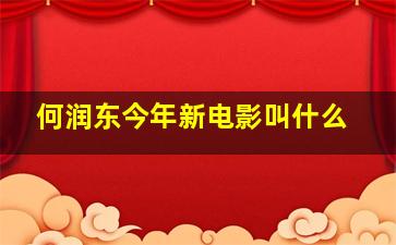 何润东今年新电影叫什么