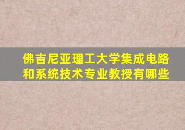 佛吉尼亚理工大学集成电路和系统技术专业教授有哪些