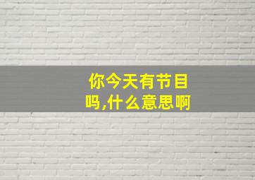 你今天有节目吗,什么意思啊