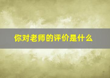 你对老师的评价是什么