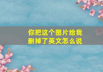 你把这个图片给我删掉了英文怎么说